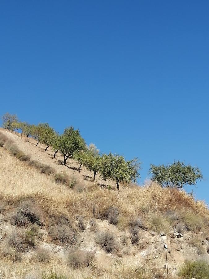 Luby Cortijo Las Eras Lubrín Kültér fotó